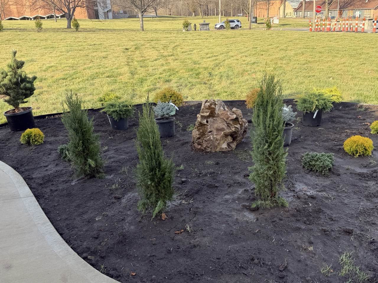 Landscaping 8