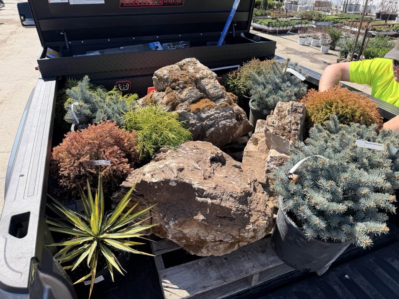 Landscaping 10