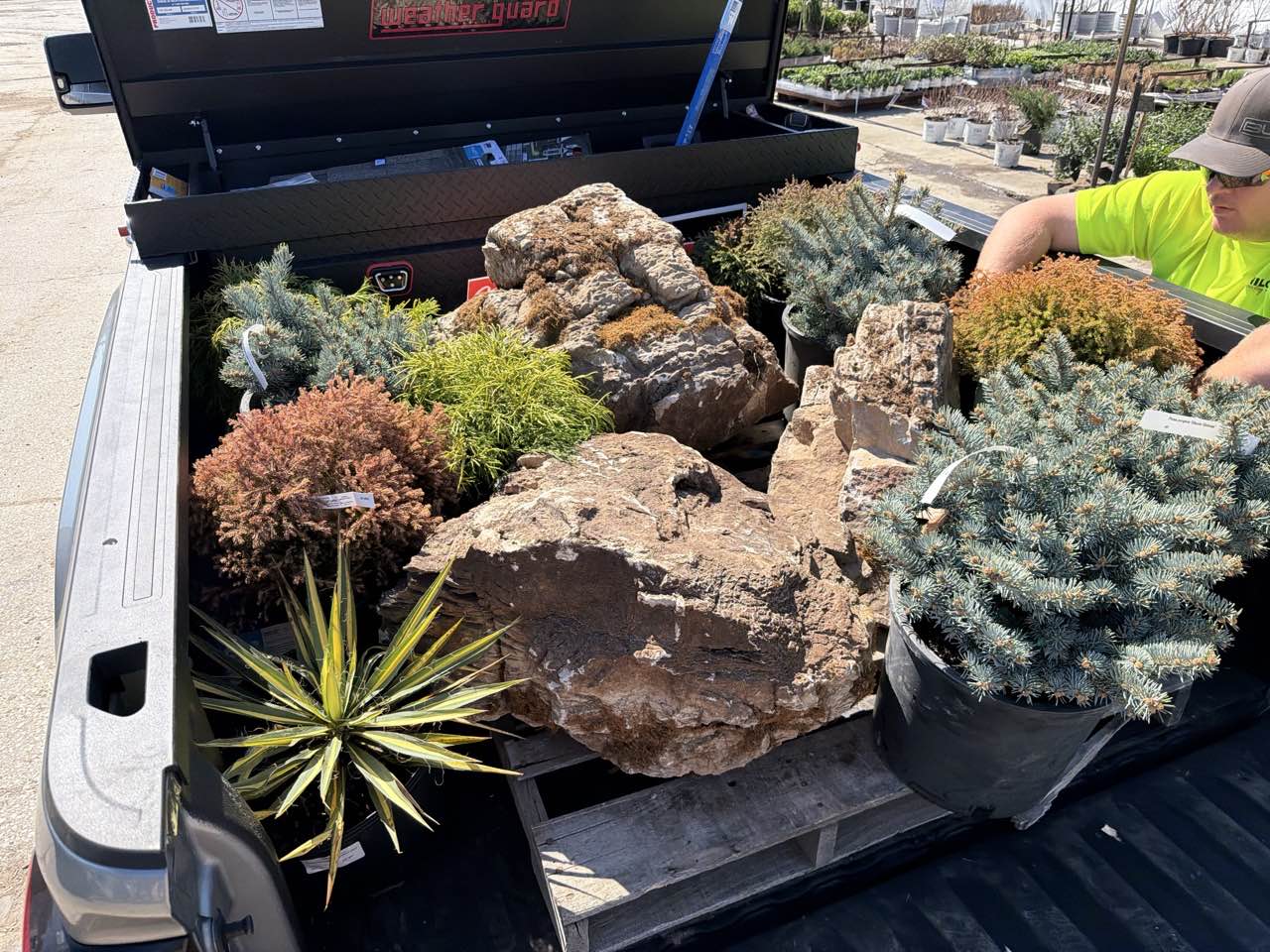 Landscaping 11