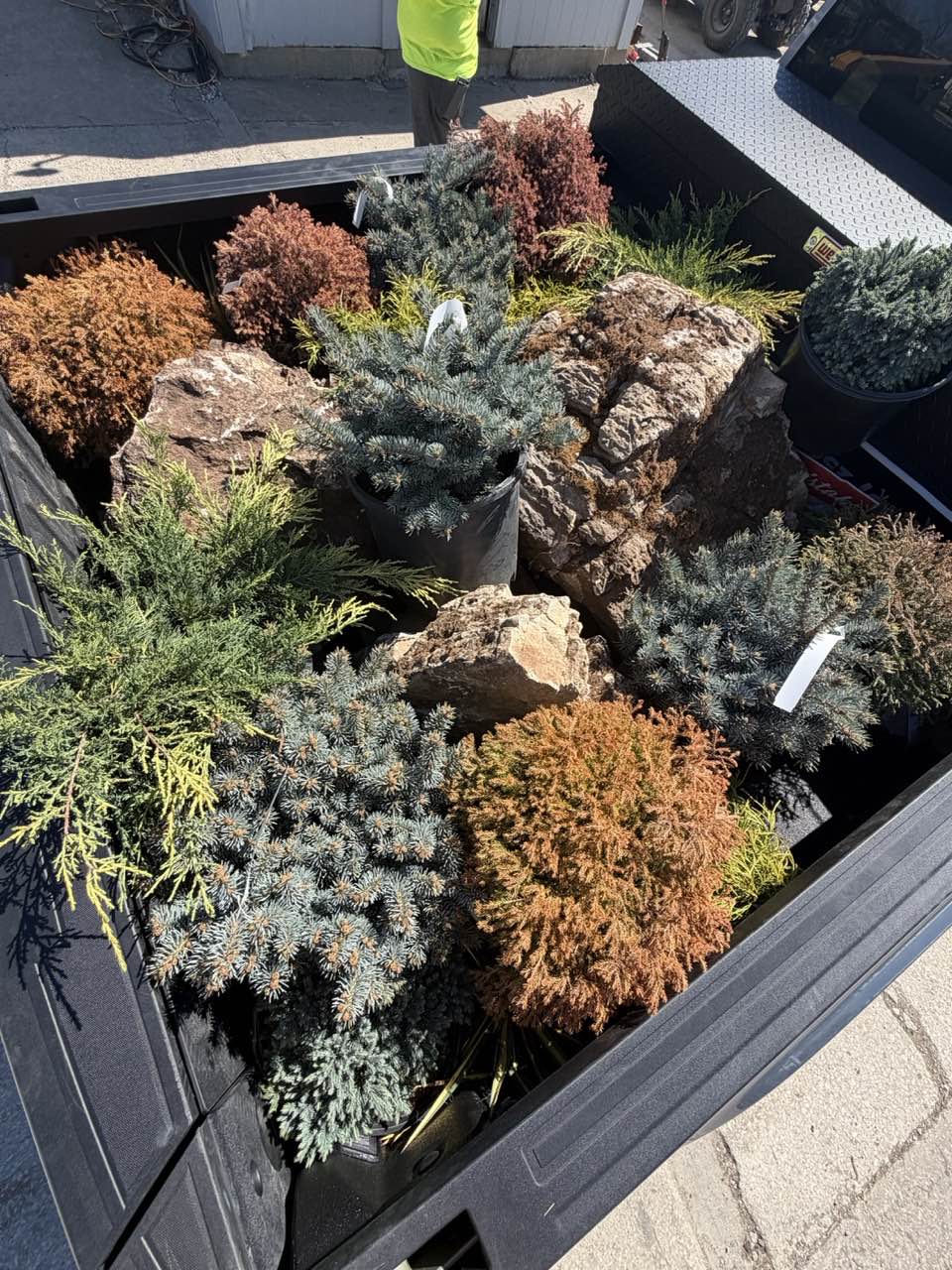Landscaping 12