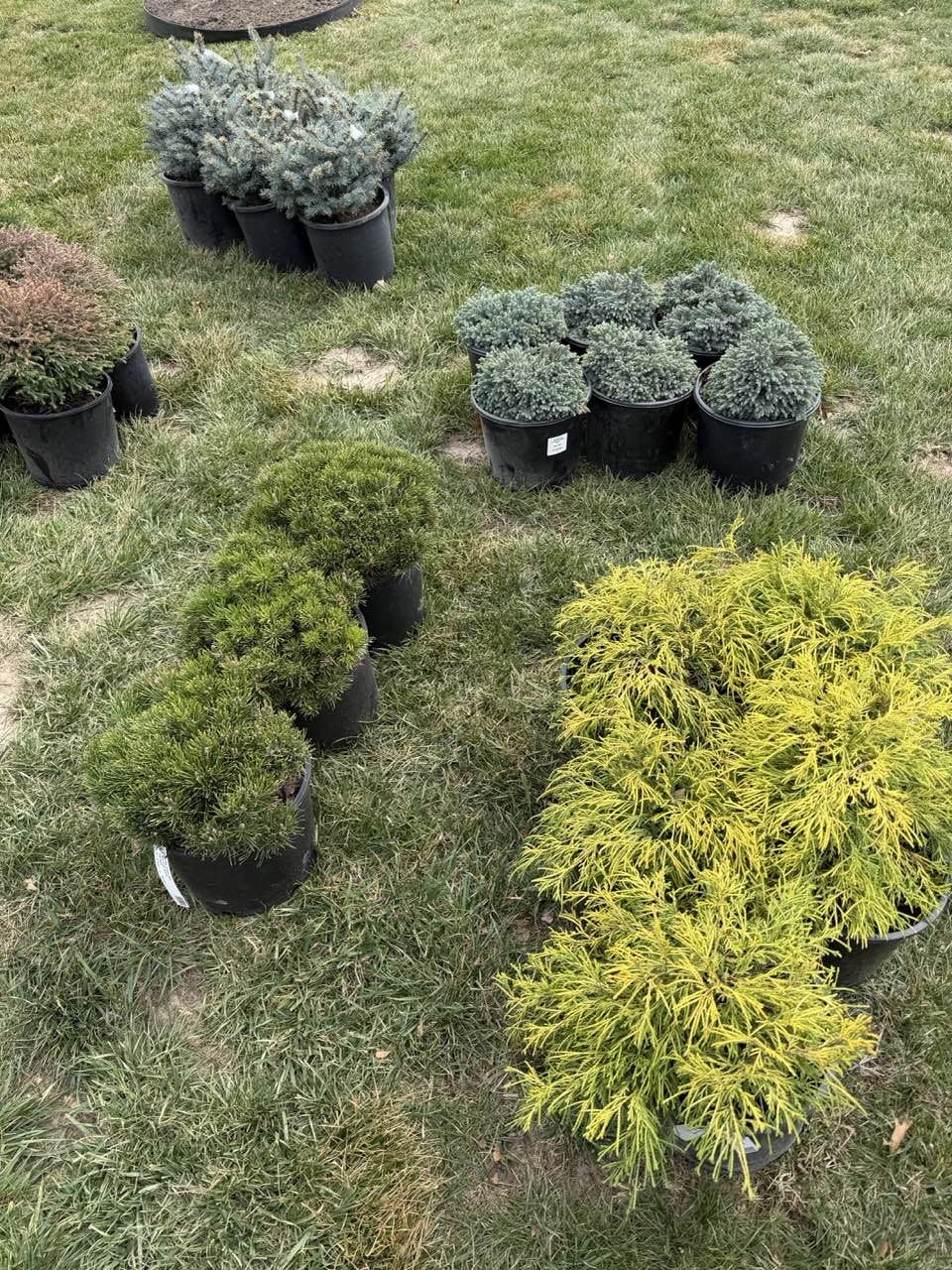 Landscaping 27